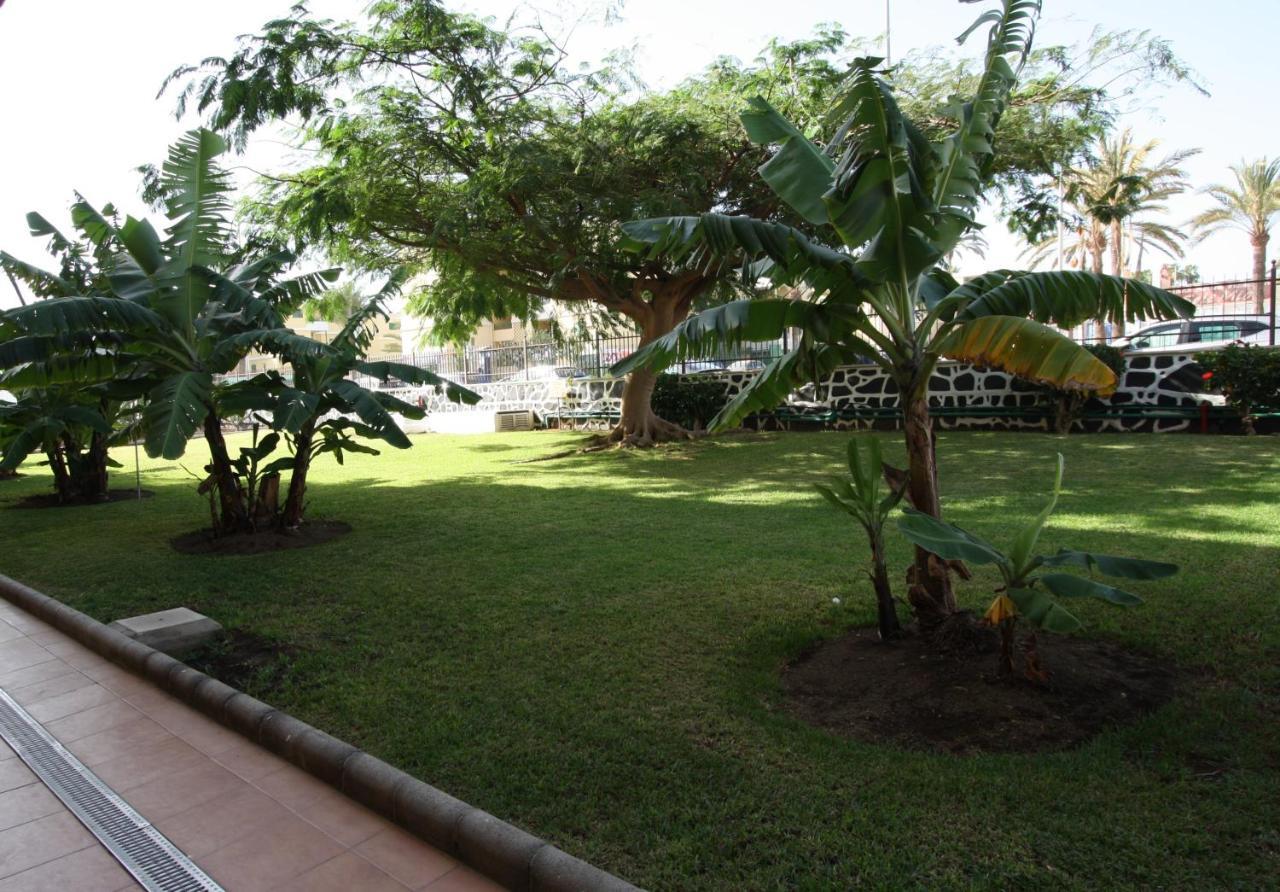 Fantastic Apartment With Sea Views Playa del Ingles  Exterior photo